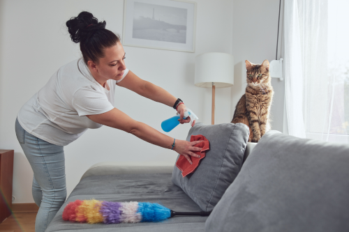 heyfever cats