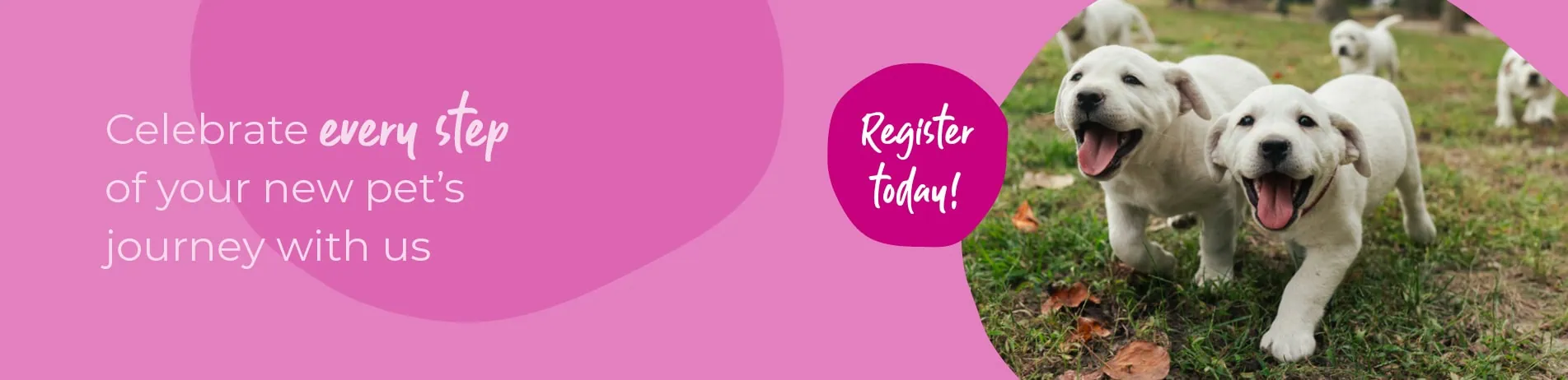 Start of Life for Your Puppy or Kitten