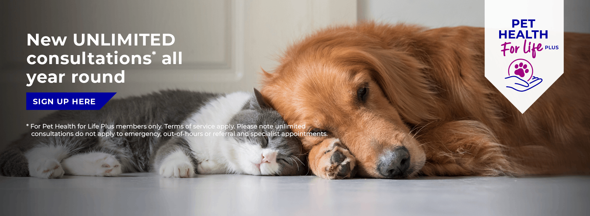 608 Veterinary Practice in Solihull, Bentley Heath and Acocks Green