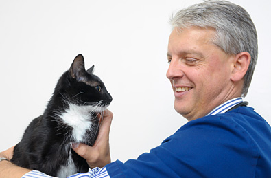 Cat Vaccinations in Solihull