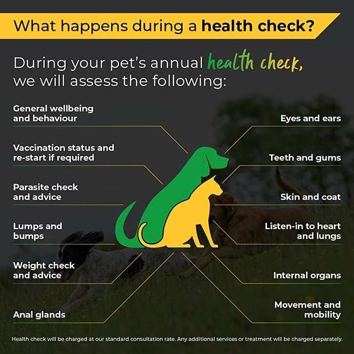 What happens during a health check? Infographic