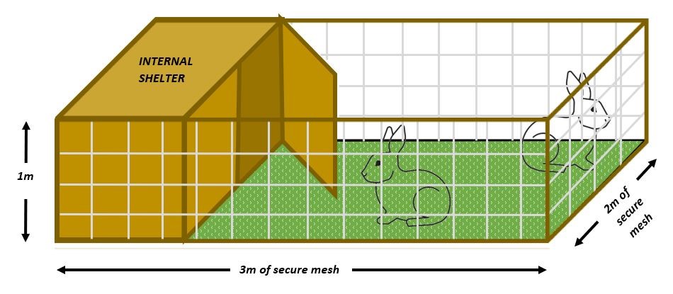 Rabbit space requirements with internal shelter