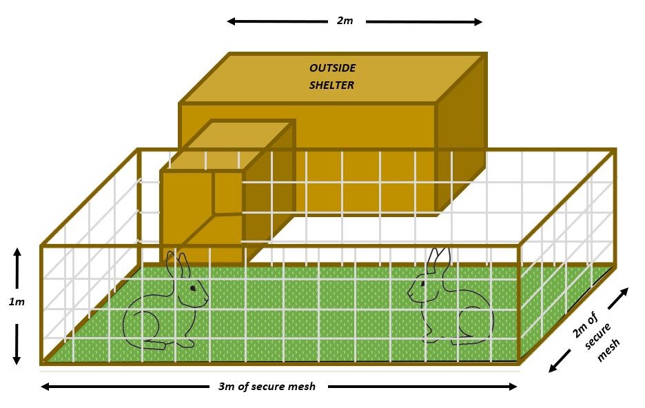 Rabbit space requirements with external shelter