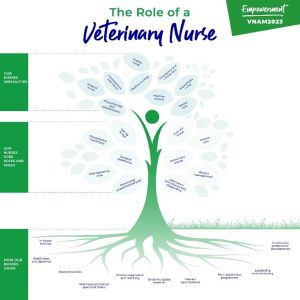 Different roles of a veterinary nurse