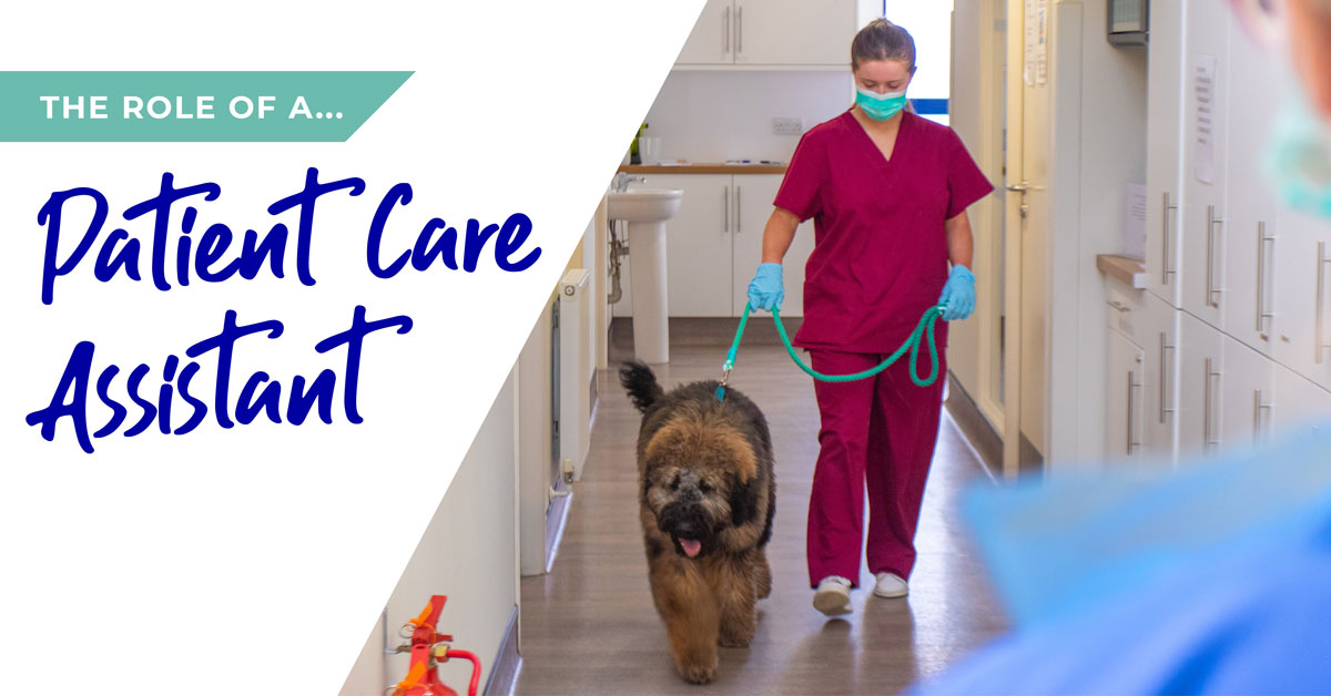 The role of a patient care assistant (PCA) in Birmingham
