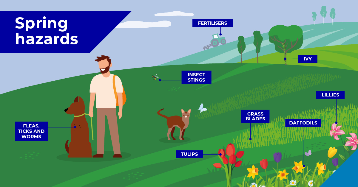 Spring hazards for pets