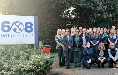 608 vets celebrate 90 years of veterinary care