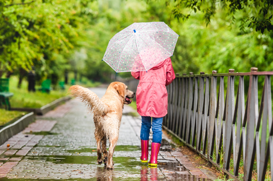pet-behaviour