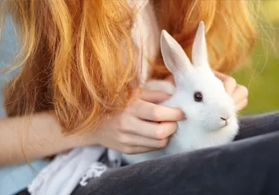 Girl holding white rabbit