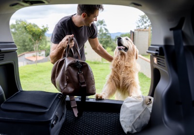 Preparing your dog for a smooth journey when travelling