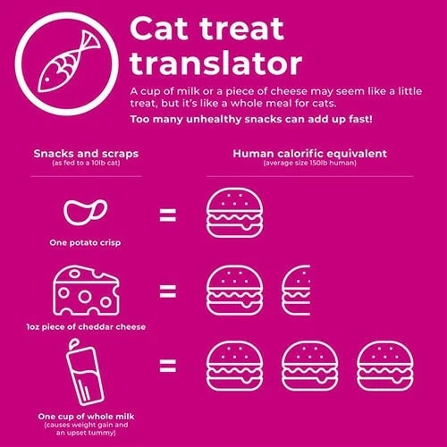 Take the weight off infographic for cats