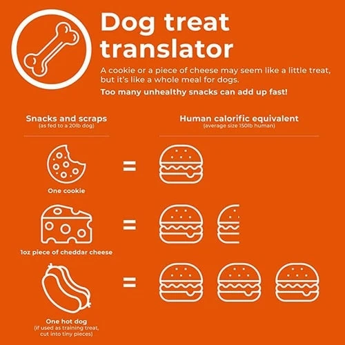 Take the weight off infographics for dogs
