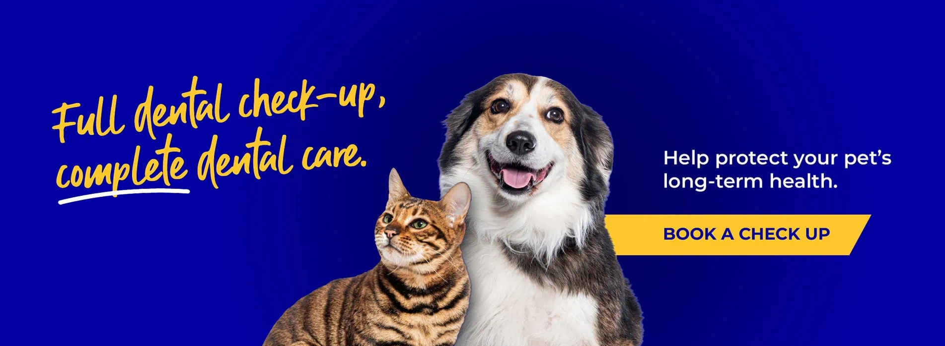 608 Veterinary Practice in Solihull, Bentley Heath and Acocks Green