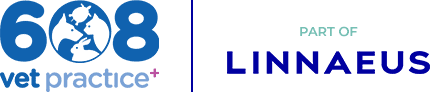 608 Vets Logo