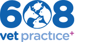 608 Vets Logo