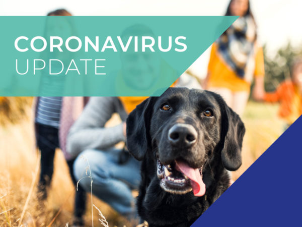 Coronavirus update for pet owners
