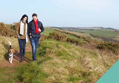 showing pet affection