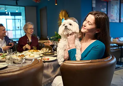 thumb-image-dogs-in-pubs